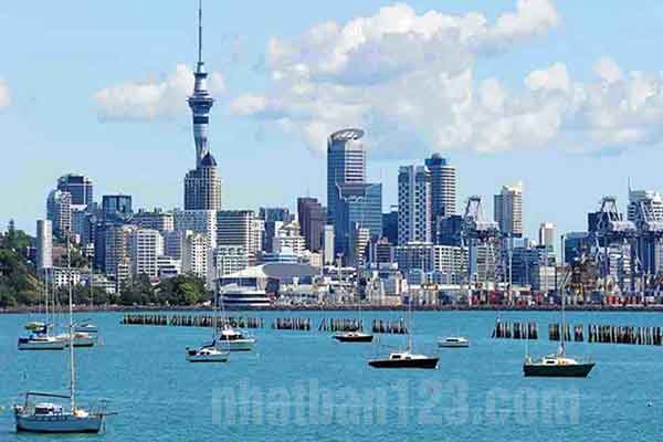 điều kiện đi xuất khẩu lao động New Zealand