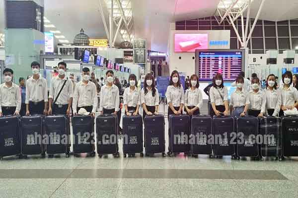 Đơn hàng kỹ sư Kinh tế đi Nhật 