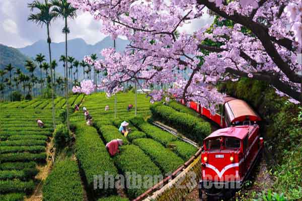 thời tiết đài loan