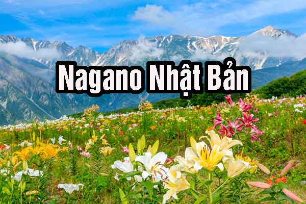 tỉnh Nagano Nhật Bản