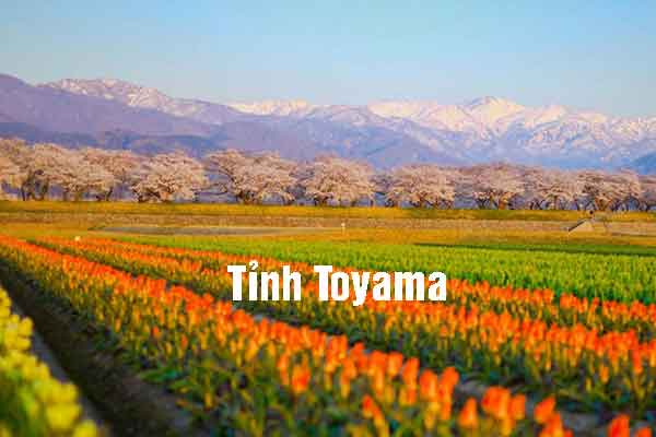 tỉnh Toyama