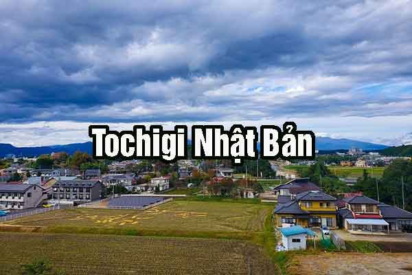 Tochigi Nhật Bản số bao nhiêu